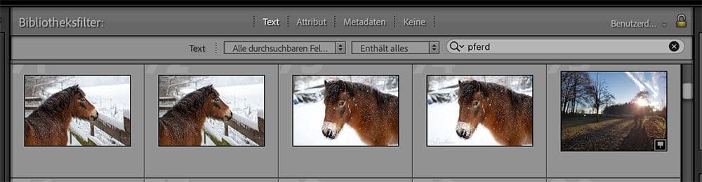 Bibliotheksfilter in Adobe Lightroom: Textsuche