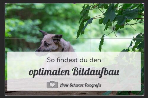 Anleitung: Bildaufbau beim Fotografieren