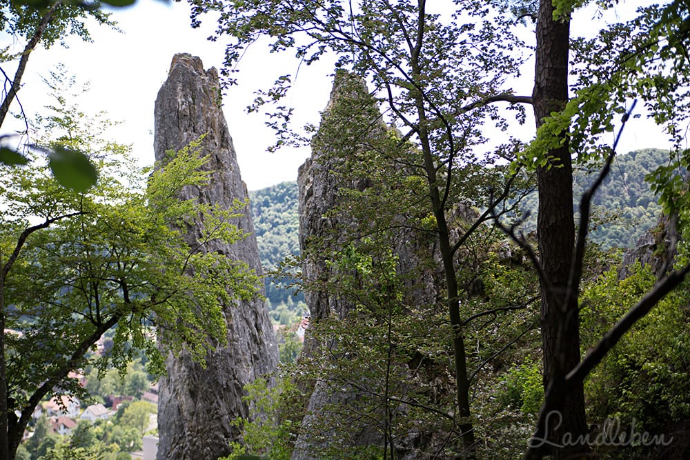 Felsen bei Blaubeuren