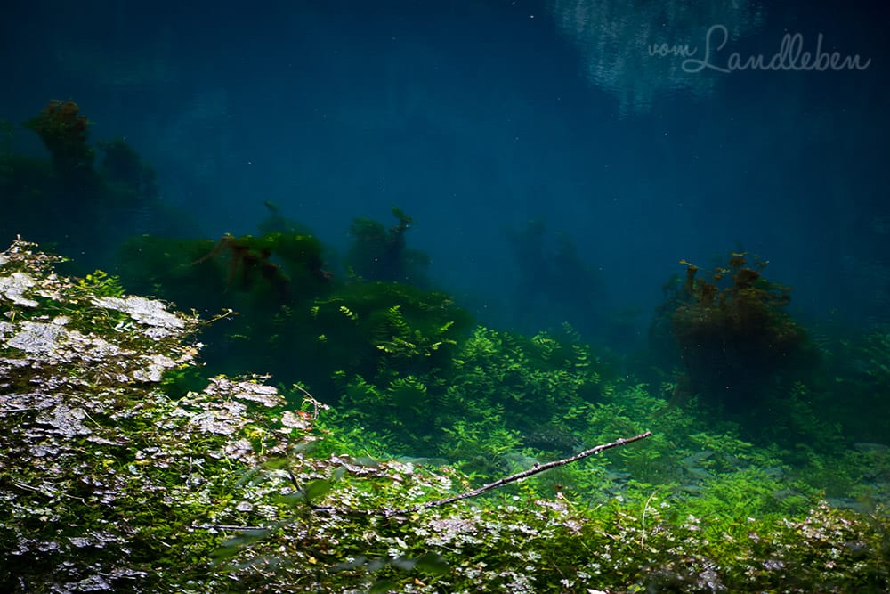 Der Blautopf in Blaubeuren