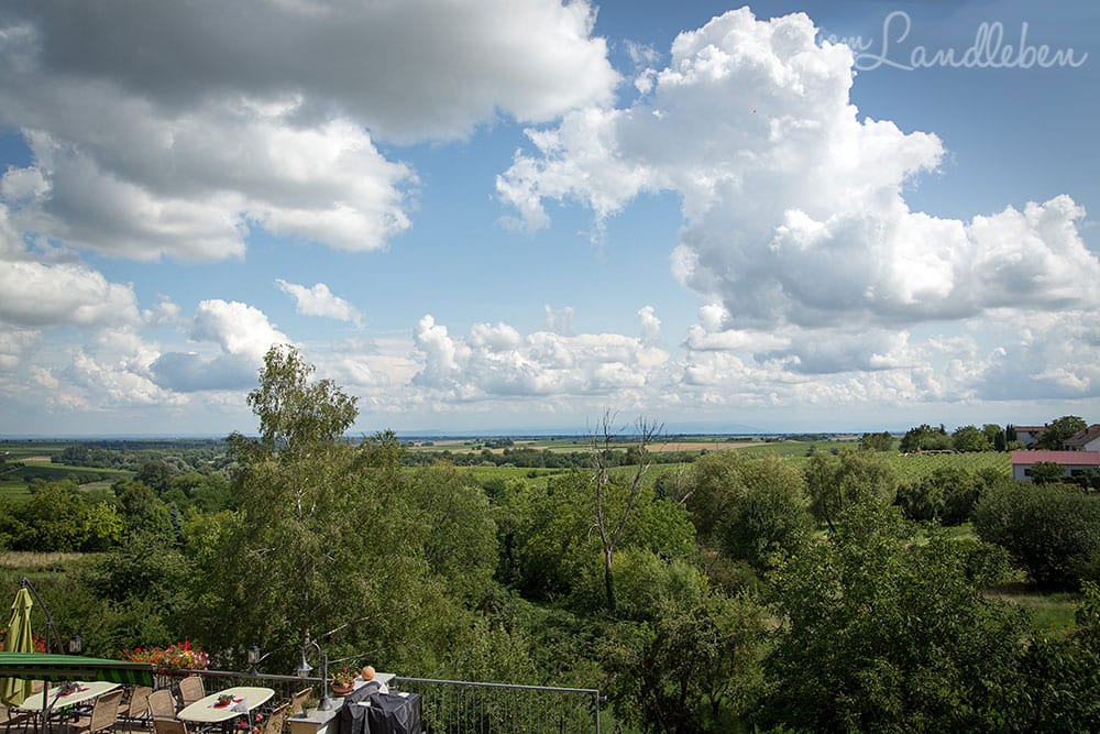 Blick von den Südpfalz-Terrassen über die Rheinebene