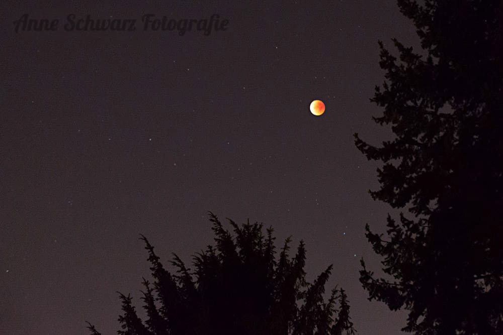 Blutmond (28.9.2015)