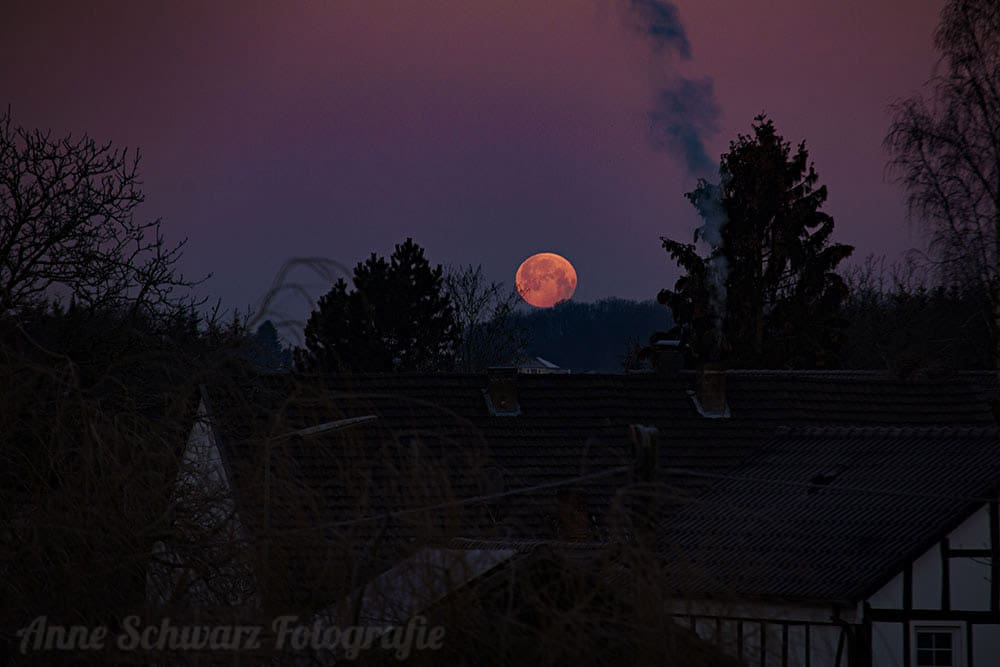 Blutmond - Mondfinsternis im Januar 2019
