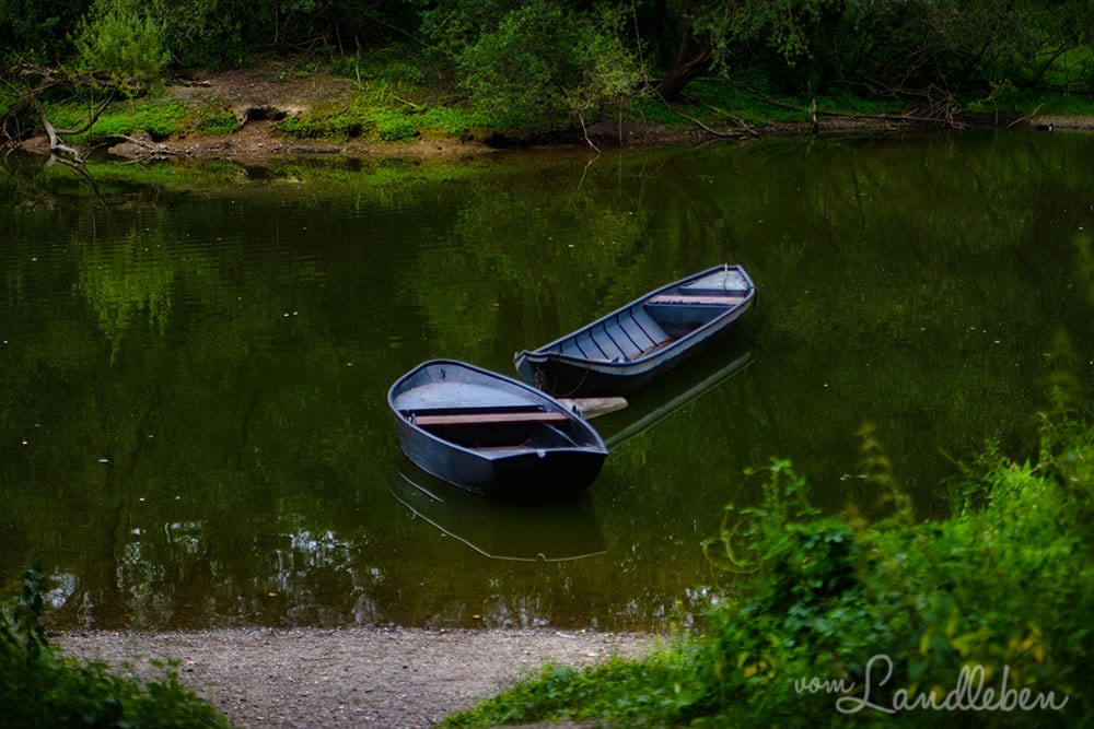 Boote auf der Diescholl