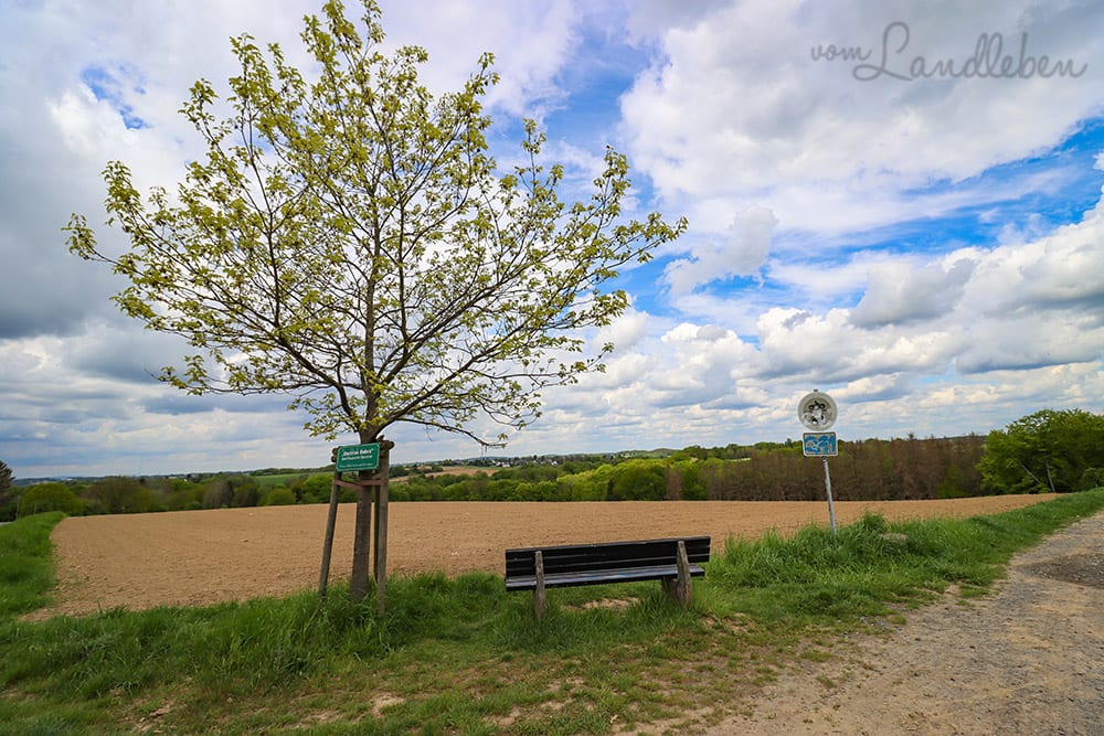 Bei Seelscheid-Breitscheid