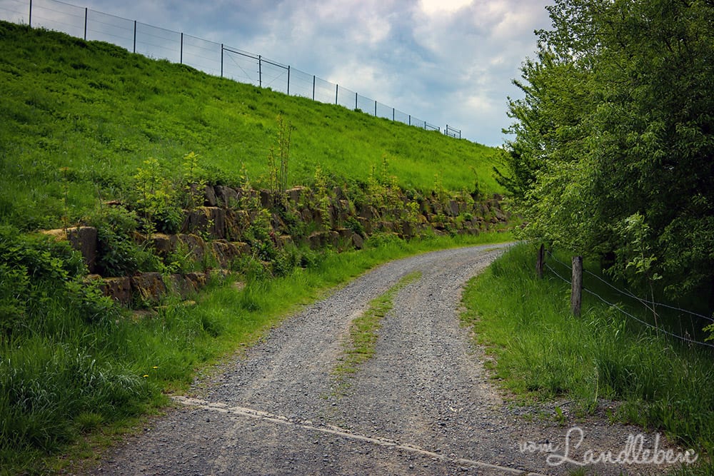 Bei Seelscheid-Breitscheid