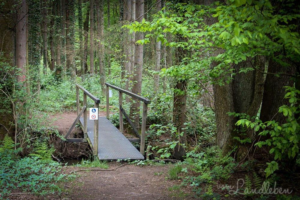 Brücke über den Wenigerbach bei Seelscheid
