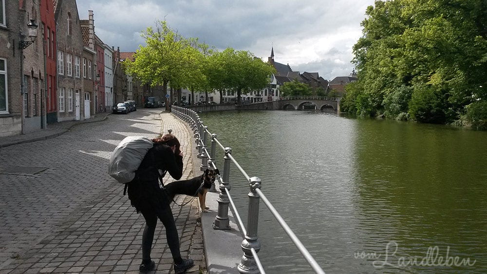 Fotografieren in Brügge