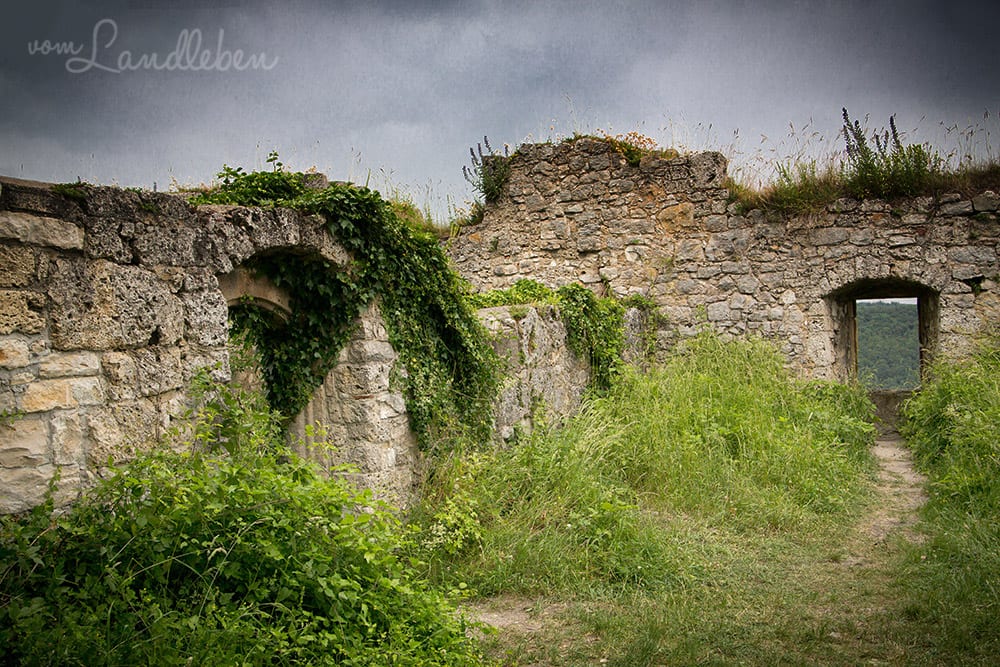 Burg Hohenurach