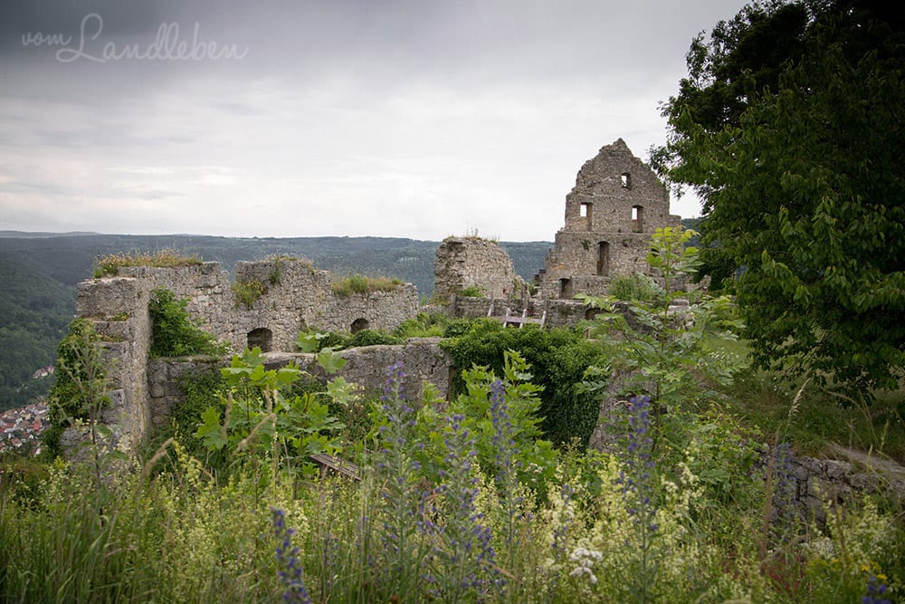 Burg Hohenurach