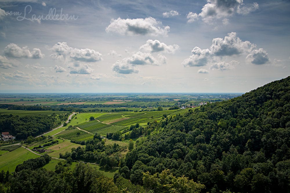 Blick von Burg Landeck