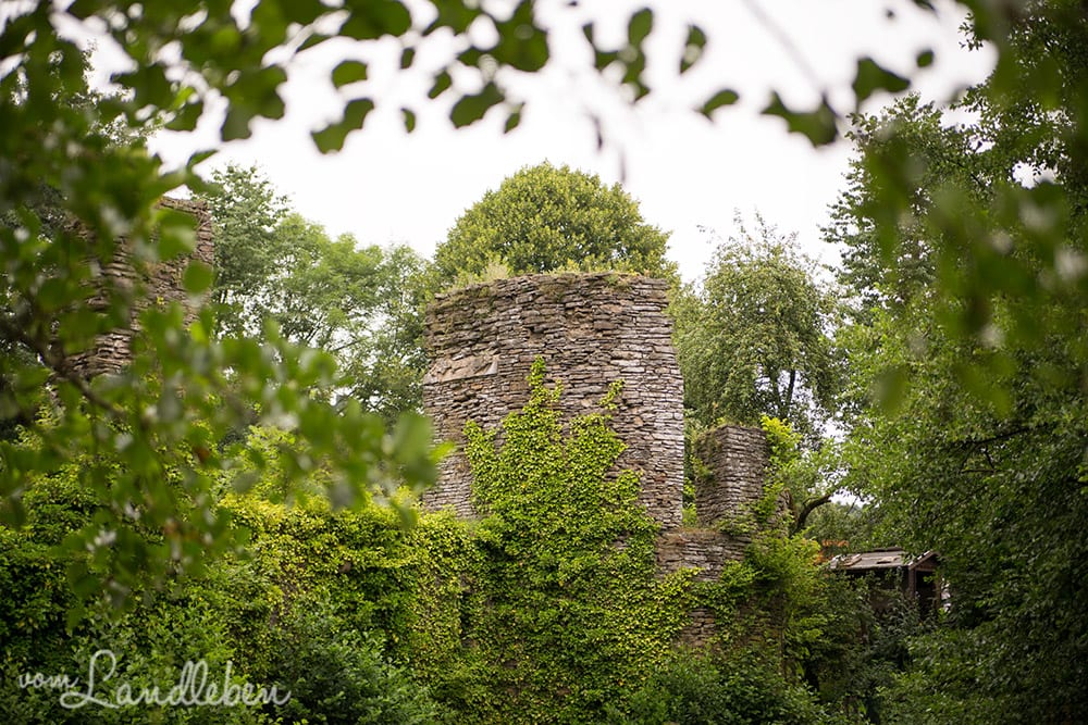 Burgruine Eibach bei Lindlar
