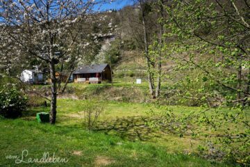 Campingplatz Harfenmühle in Mörschied