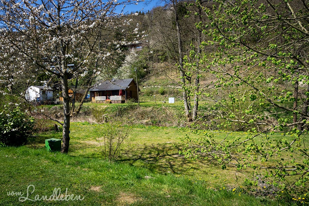 Campingplatz Harfenmühle in Mörschied