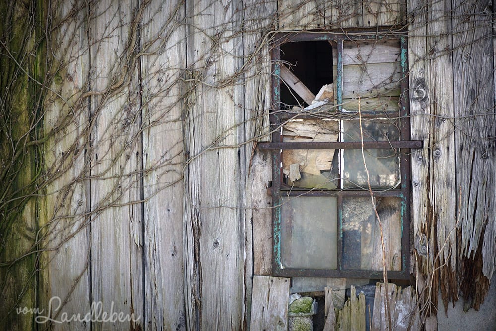 An der Dhünntalsperre