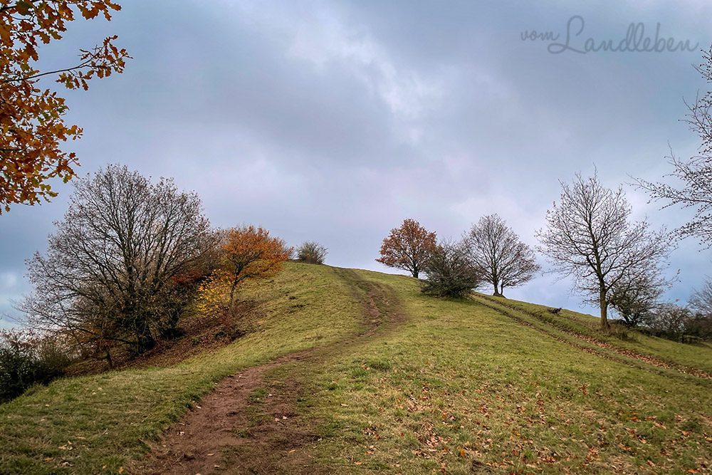 Ettringer Bellerberg