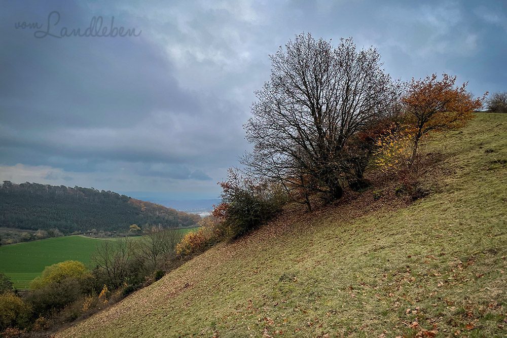 Ettringer Bellerberg