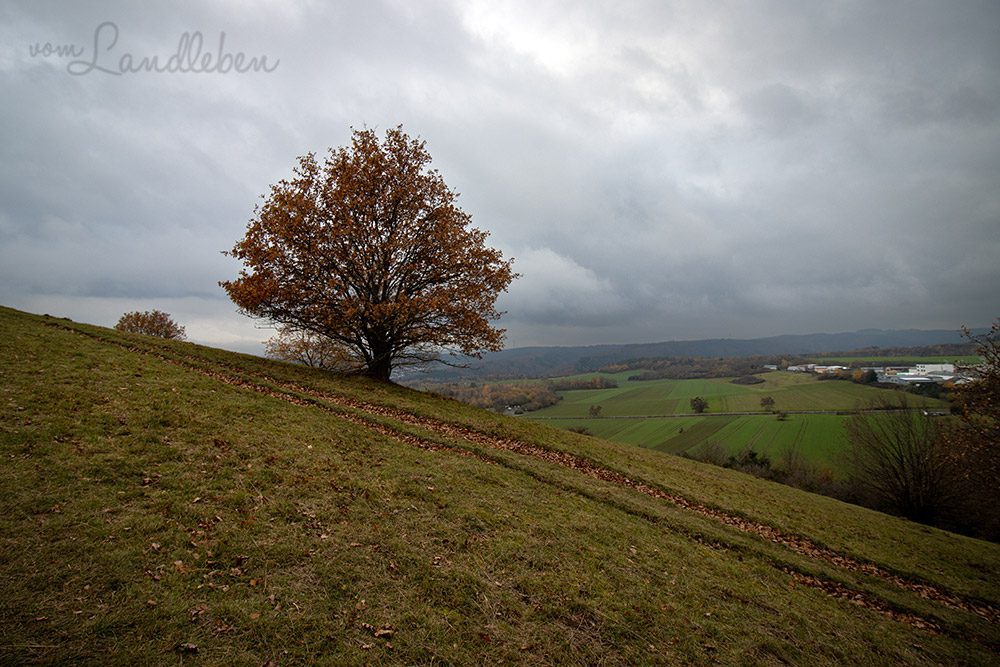 Ettringer Bellerberg