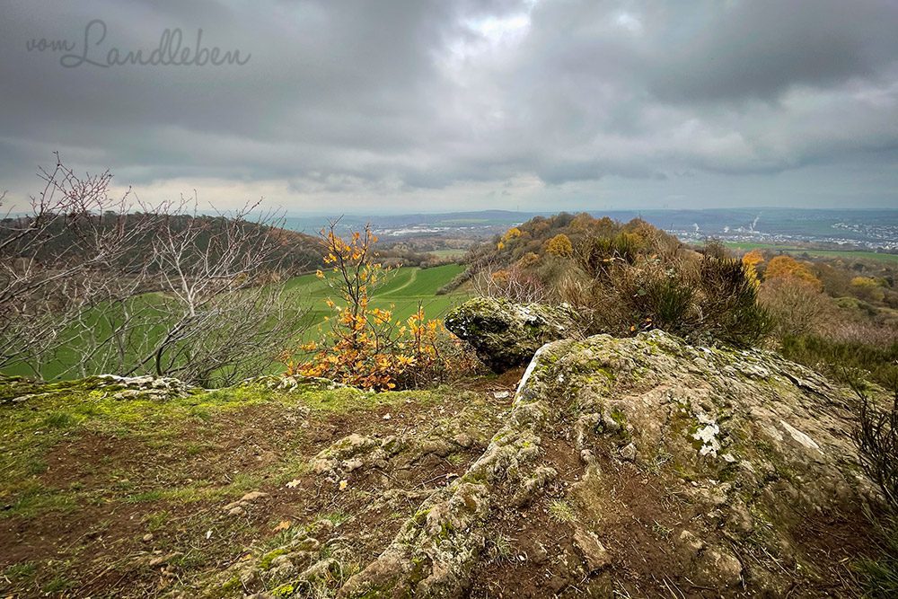 Ettringer Bellerberg