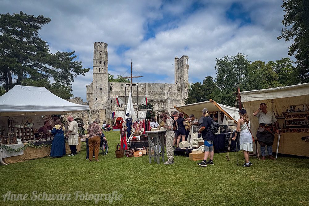 Fête Viking 2025 - Jumièges - Sibba Dreki