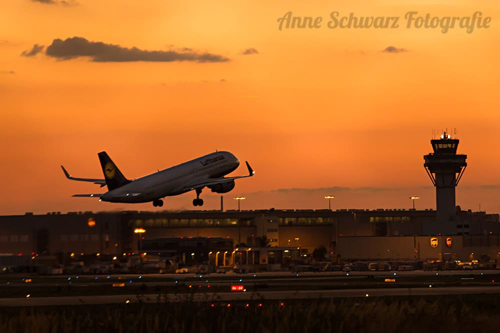Flugzeuge fotografieren: spotten am Flughafen Köln/Bonn