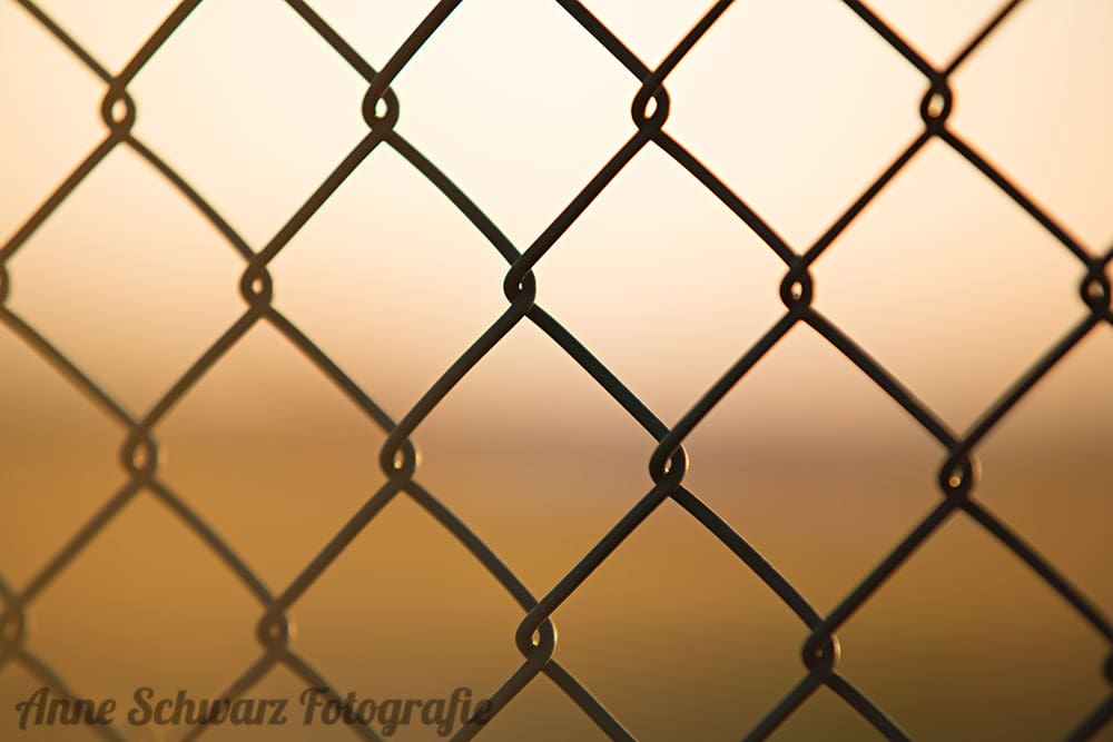 Flugzeuge spotten am Flughafen Köln/Bonn