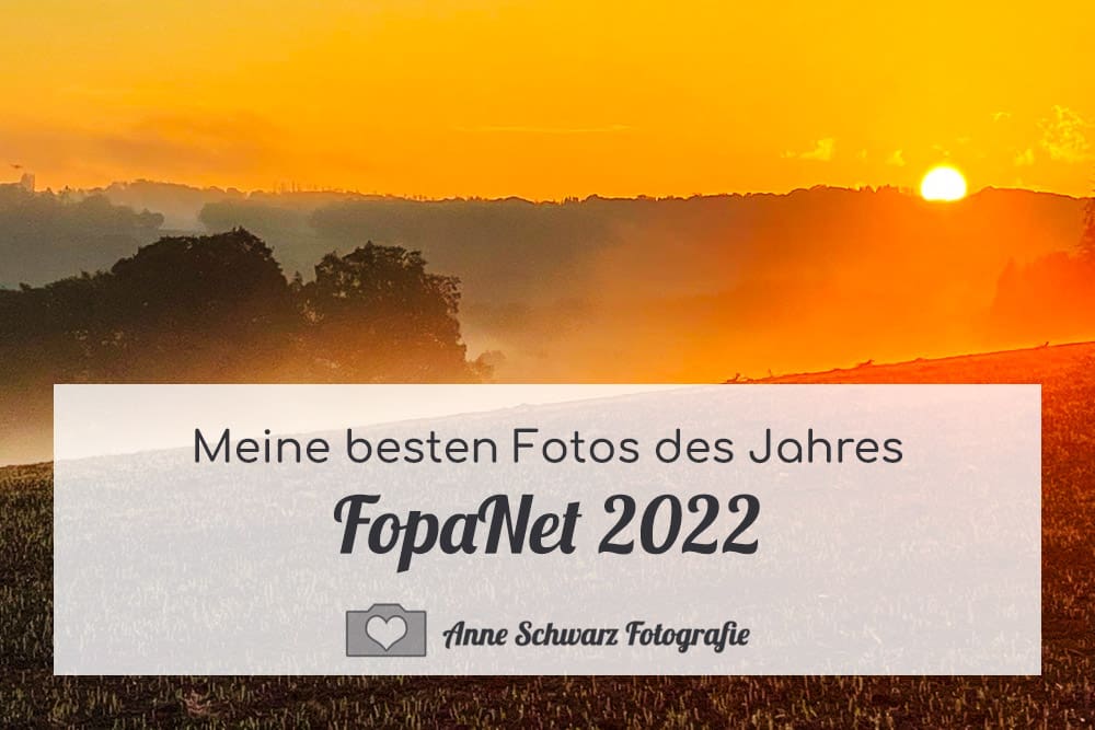 FopaNet 2022 – meine besten Fotos des Jahres