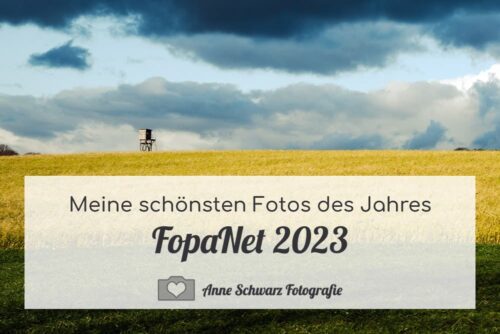FopaNet 2023 – meine besten Fotos des Jahres
