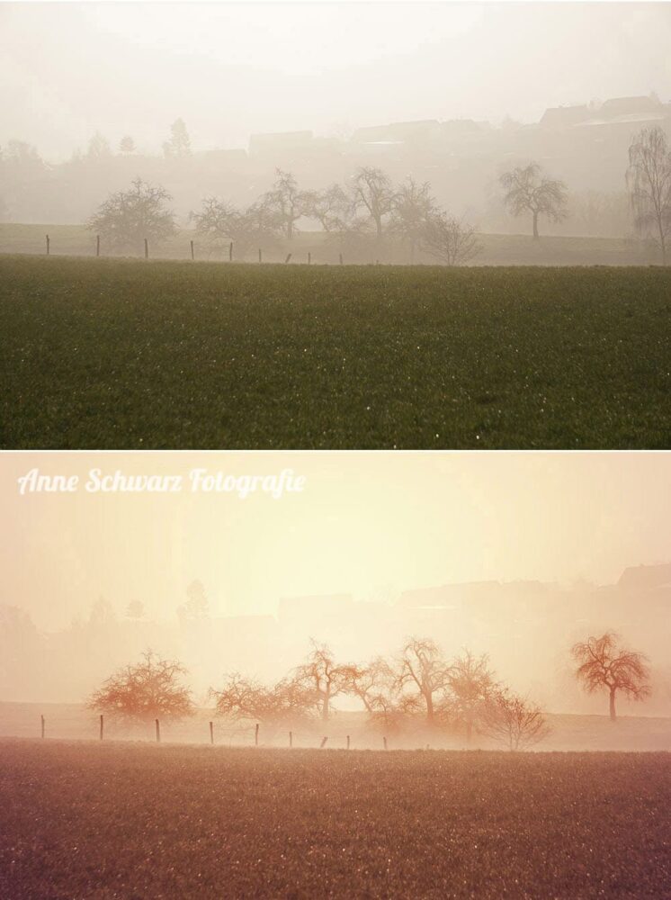 Bildretusche - Nebelmorgen