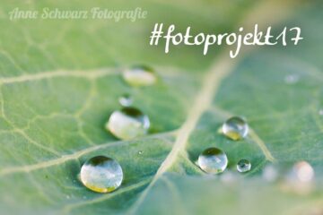 #fotoprojekt17 – Wasser