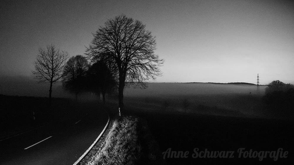 #fotoprojekt17 - Winterbäume