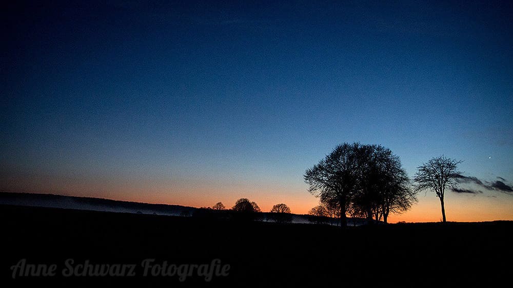 #fotoprojekt17 - Winterbäume