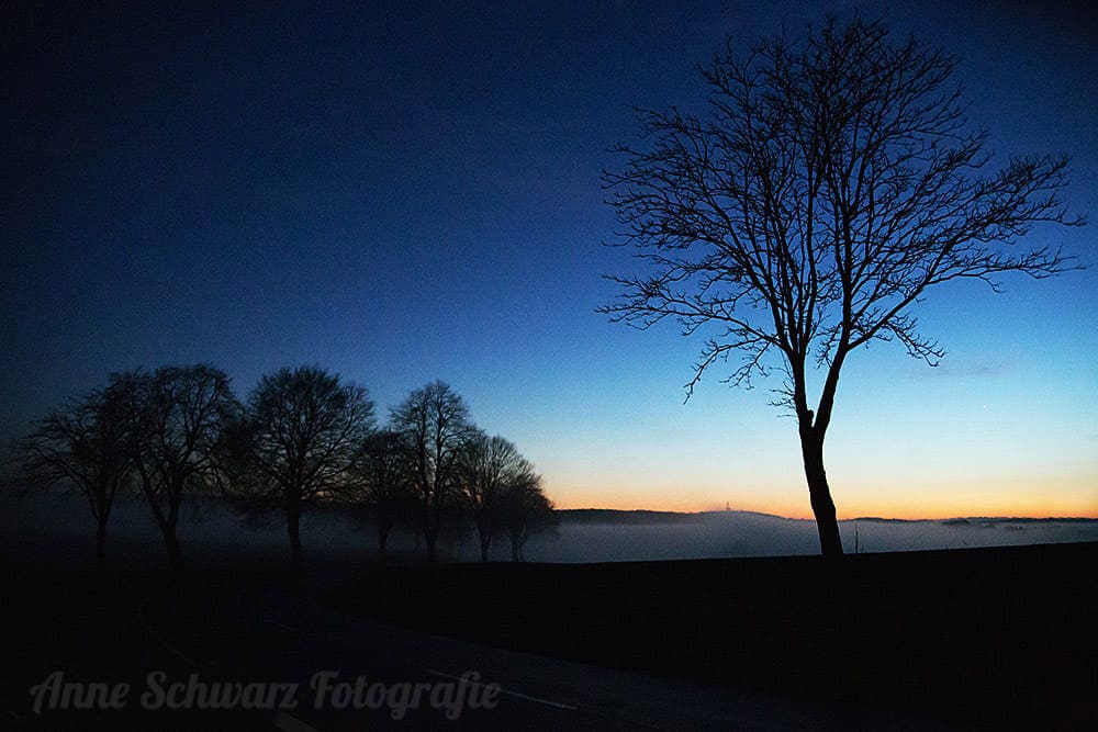 #fotoprojekt17 - Winterbäume