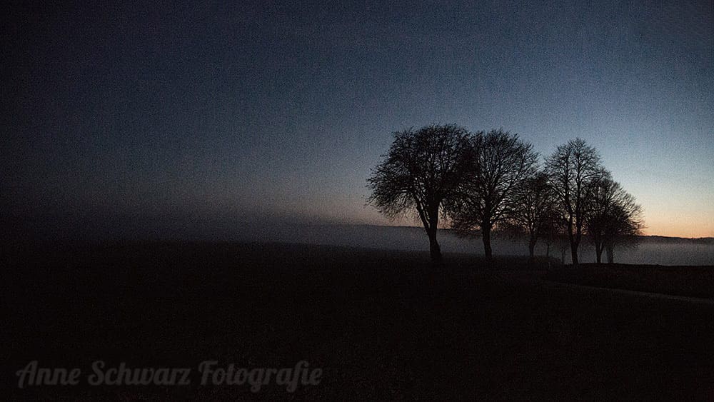 #fotoprojekt17 - Winterbäume