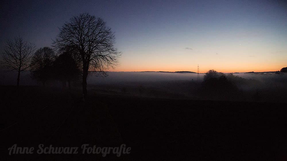 #fotoprojekt17 - Winterbäume