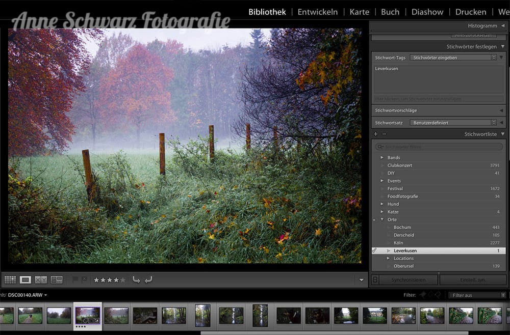 Fotoverwaltung in Lightroom