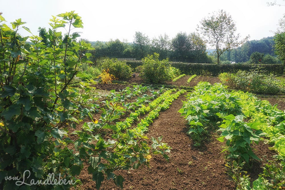 Freilichtmuseum Lindlar