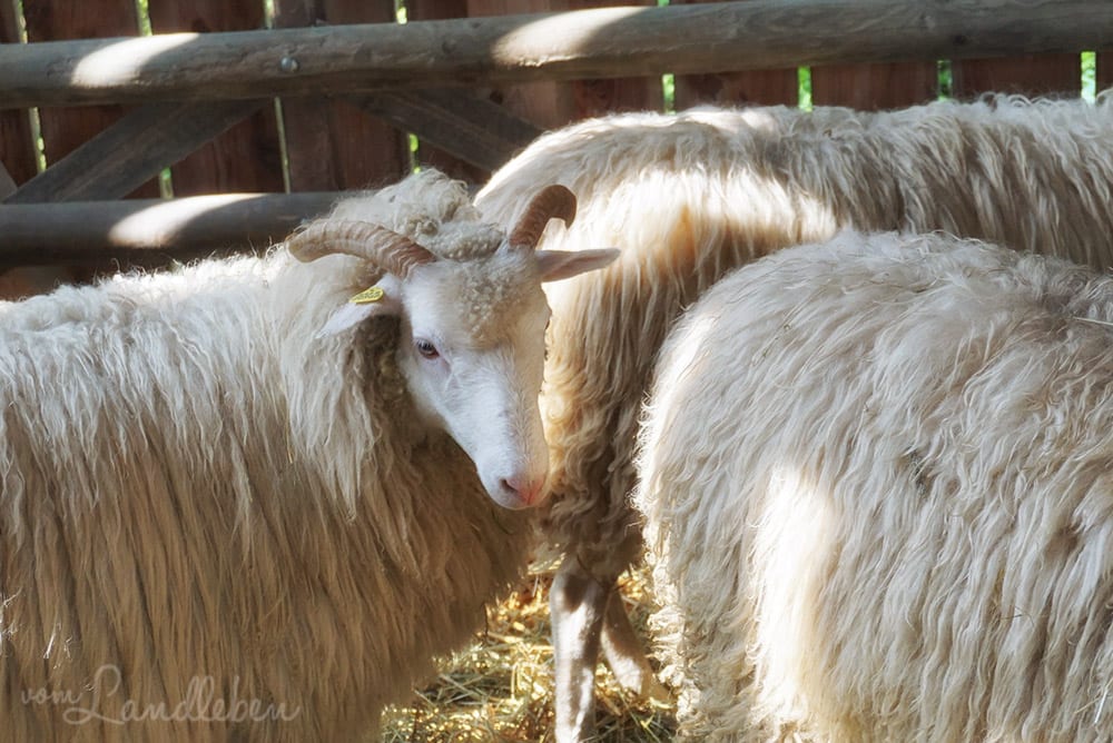 Freilichtmuseum Lindlar