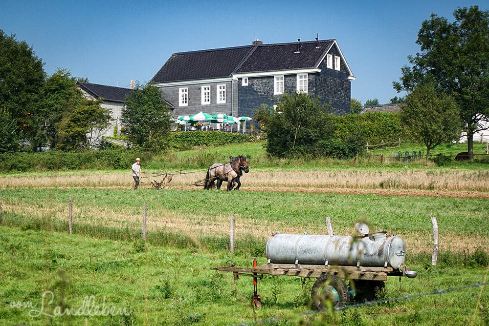 Freilichtmuseum Lindlar