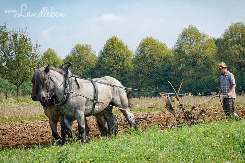 Freilichtmuseum Lindlar