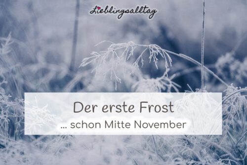 Der erste Frost Mitte November