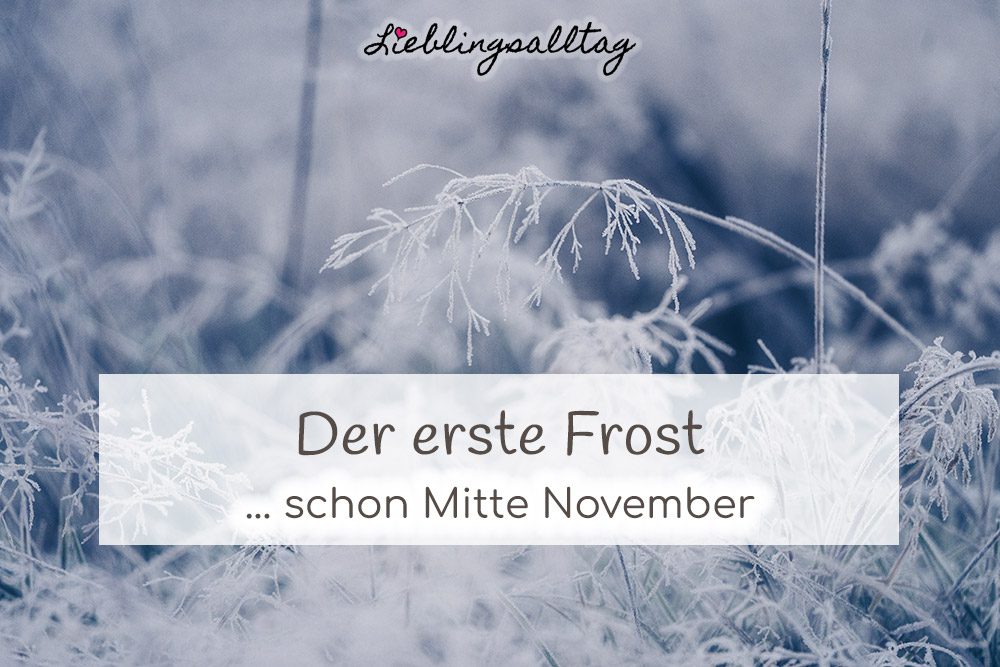 Der erste Frost Mitte November