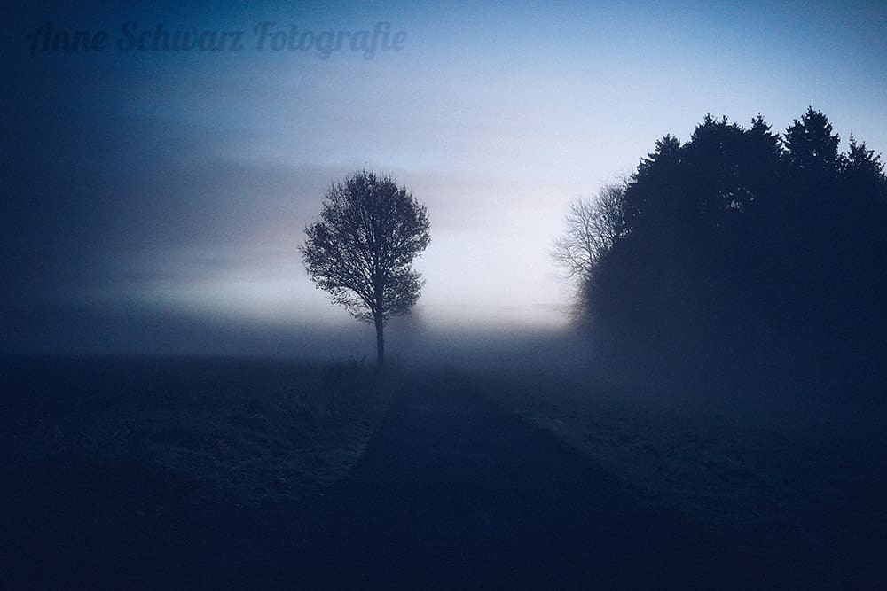 Frühnebel im Herbst