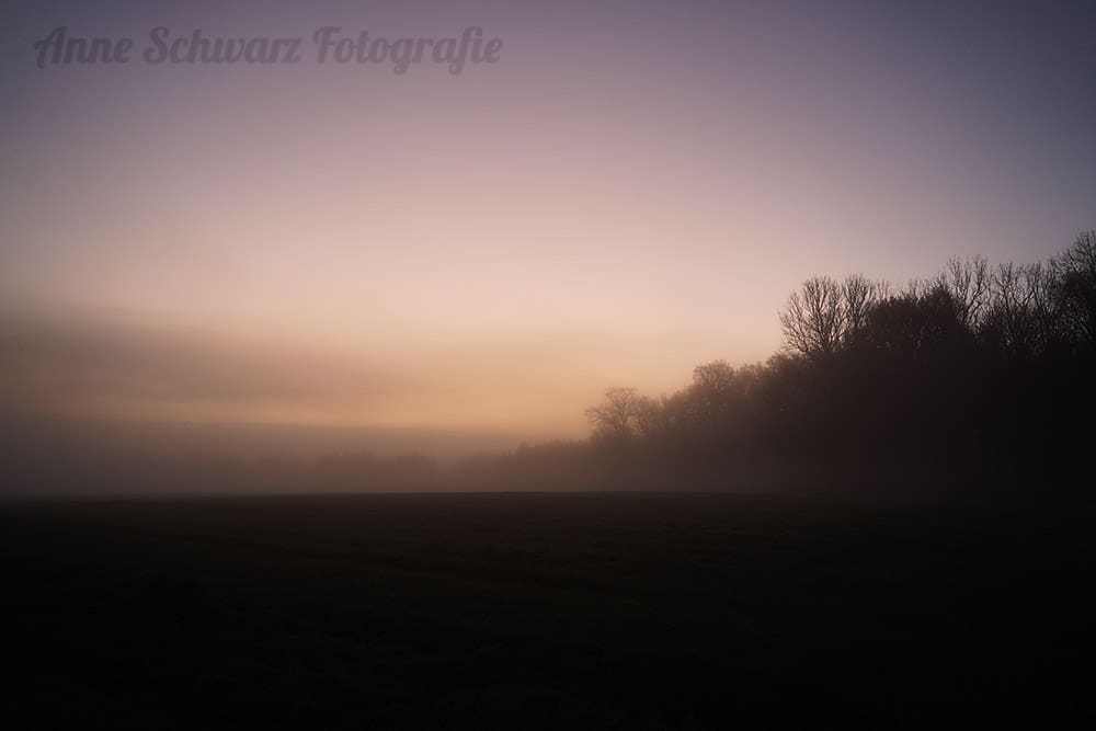 Frühnebel im Herbst