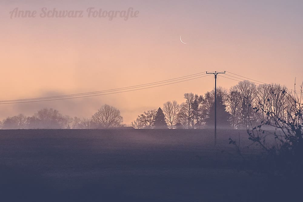 Frühnebel und Sichelmond