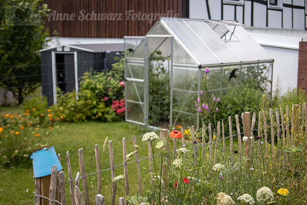 Unser Garten im Juni 2020