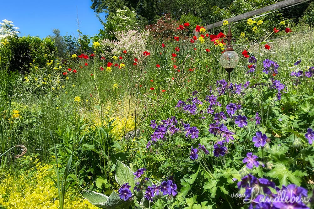 Unser Garten im Juni 2021