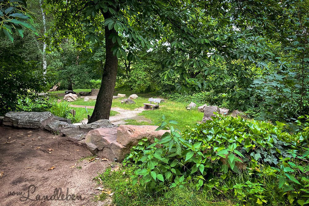 Geopark Tannenbusch in Dormagen