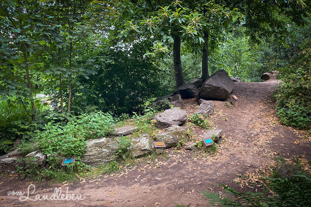 Geopark Tannenbusch in Dormagen