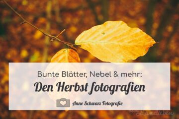 Den Herbst fotografieren